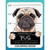 Pug Coloring Book: A Dog Fun and Beautiful Pages for Stress Relieving Unique Design - Paperback