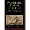 Pandemic Poems Plus One: From Wuhan to Bucha and Beyond - Hardcover