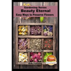 Beauty Eternal - Easy Ways to Preserve Flowers - Paperback
