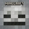I Survived a Skeleton! (Mobs of Minecraft #2) - Paperback