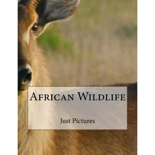 African Wildlife - Paperback