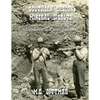 Southern Oregon Mineral Wealth - Paperback