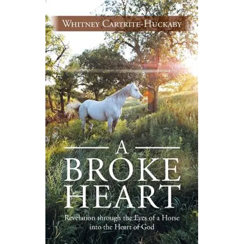 A Broke Heart: Revelation Through the Eyes of a Horse Into the Heart of God - Paperback