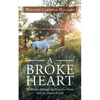 A Broke Heart: Revelation Through the Eyes of a Horse Into the Heart of God - Paperback