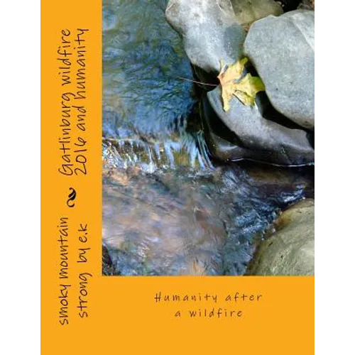 Gatlinburg wildfire 2016 and humanity: Humanity after a wildfire - Paperback