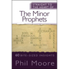 Straight to the Heart of the Minor Prophets: 60 Bite-Sized Insights - Paperback