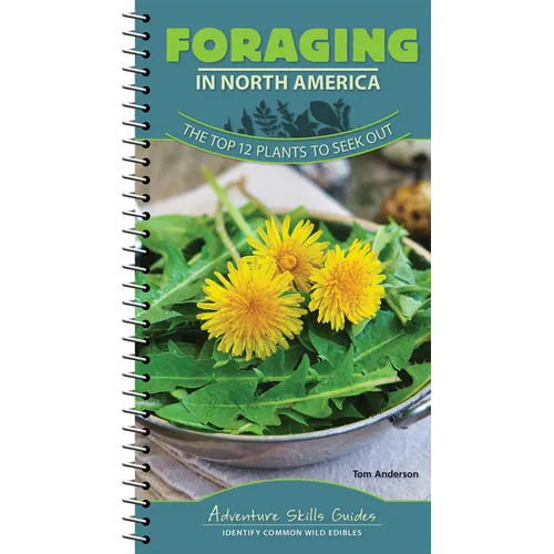 Foraging in North America: The Top 12 Plants to Seek Out - Spiral