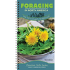 Foraging in North America: The Top 12 Plants to Seek Out - Spiral