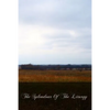 The Splendour Of The Liturgy - Paperback