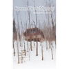 Spoon Creek Mystery - Paperback