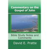 Commentary on the Gospel of John: Bible Study Notes and Comments - Paperback