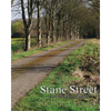 Stane Street: From Chichester to London - Paperback