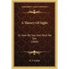 A Theory Of Sight: Or How We See, And What We See (1869) - Paperback