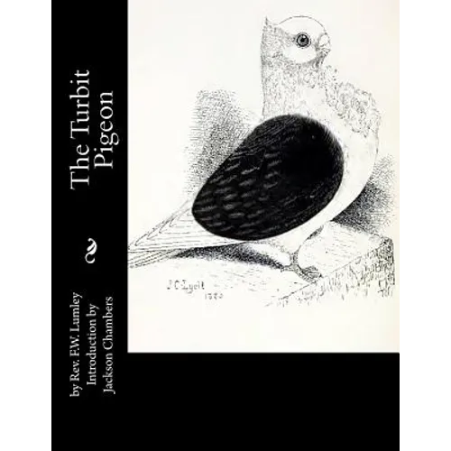 The Turbit Pigeon - Paperback