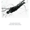 Charles Ray: Figure Ground - Paperback