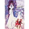 The Snow Queen - Paperback