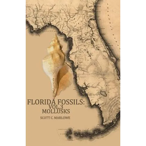 Florida Fossils: Mollusks - Paperback
