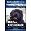 Newfoundland Training Dog Training with the No BRAINER DogTRAINER We Make it THAT Easy!: How to EASILY TRAIN Your Newfoundland - Paperback