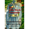 The Little Rock Campaign: Henry Harrison Brabham Civil War Diaries Company H 77th Regimant Ohio Infantry Volunteers August 1863 December 1864 - Paperback