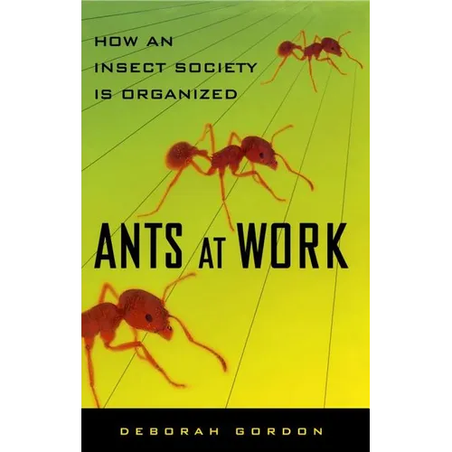 Ants at Work: How an Insect Society Is Organized - Paperback