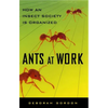 Ants at Work: How an Insect Society Is Organized - Paperback