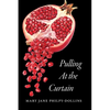 Pulling At the Curtain - Paperback