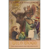 West of Wild Wood: The Professor and the Pan Flute - Paperback