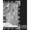 Lace not Lace: Contemporary Fiber Art from Lacemaking Techniques - Paperback