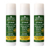 Cocoa Butter Lip Balm