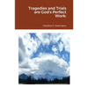 Tragedies and Trials are God's Perfect Work - Paperback