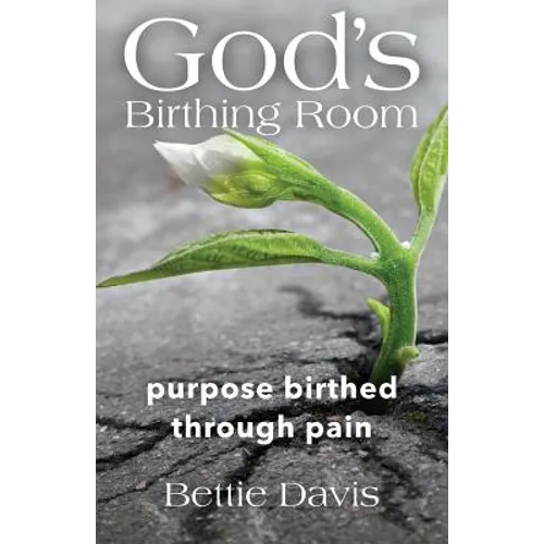 God's Birthing Room: Purpose Birthed Through Pain - Paperback