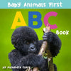 Baby Animals First ABC Book - Board Book