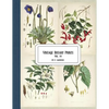 Vintage Botany Prints: Vol. 14 - Paperback