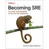 Becoming SRE: First Steps Toward Reliability for You and Your Organization - Paperback
