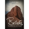 Beliefs: Mennonite Faith and Practice - Paperback