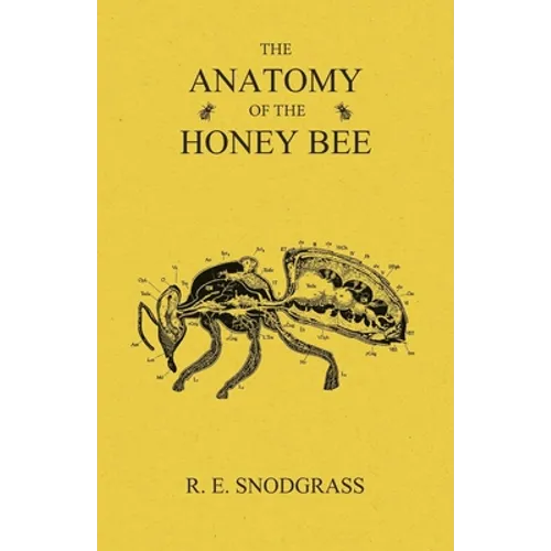 The Anatomy of the Honey Bee - Paperback