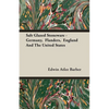 Salt Glazed Stoneware - Germany, Flanders, England and the United States - Paperback
