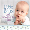 Little Boys Are Wonderfully Made - Hardcover