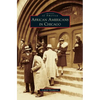 African Americans in Chicago - Hardcover