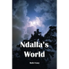 Ndalla's World - Paperback