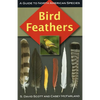 Bird Feathers - Paperback