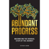 Abundant Progress: Maximising the gradual steps of the journey - Hardcover