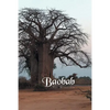 Baobab - Paperback