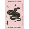 By Night in Chile - Paperback