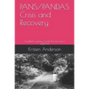 Pans/Pandas Crisis and Recovery: A Mother's Journey to Pull Her Son Out of Psychosis - Paperback