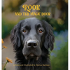 Rook and the Magic Door: Written and Illustrated by Danica Barreau - Hardcover