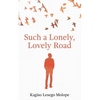 Such a Lonely, Lovely Road - Paperback