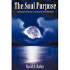 The Soul Purpose: Attaining Fulfillment and Security with Astrology - Paperback