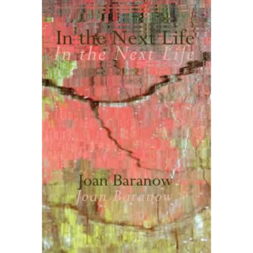 In the Next Life - Paperback