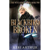 Blackbird Broken - Paperback